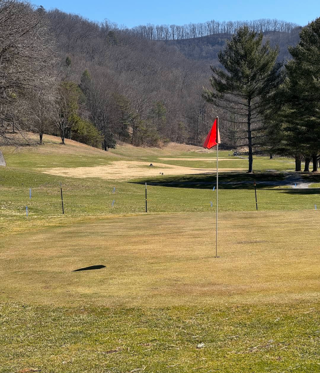 Red pin flag on a Willowbrook green with mountain backdrop